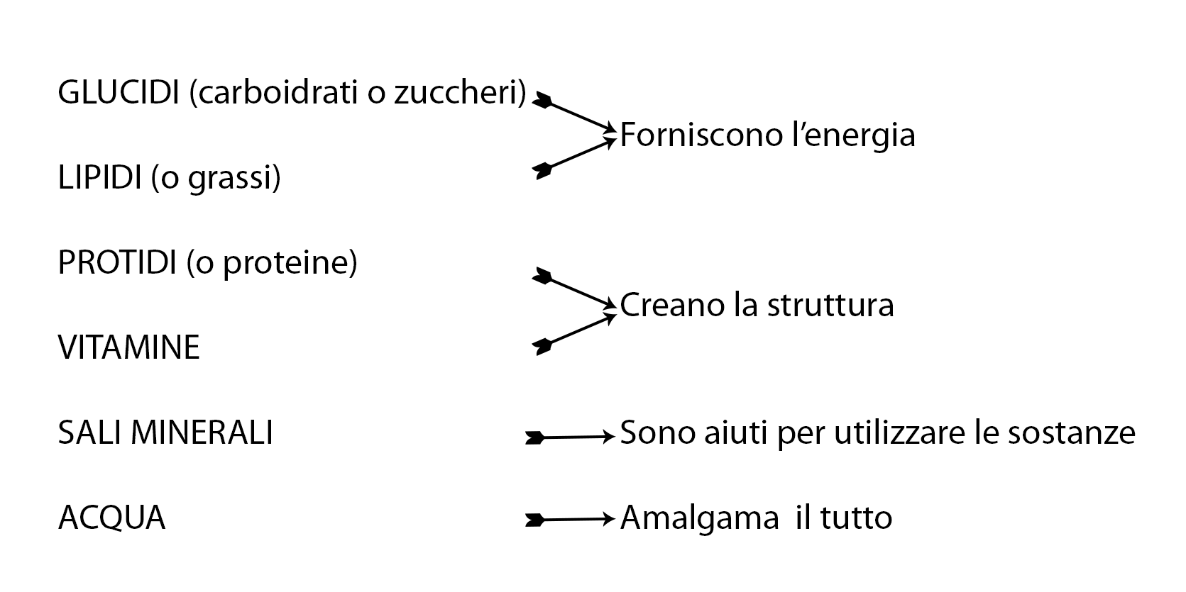 struttura