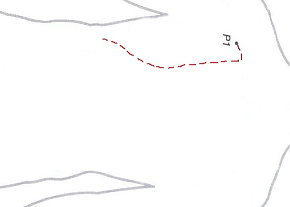 cropped-Foto-10.png