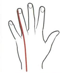 Foto 25c