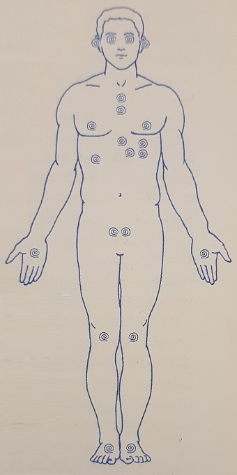 21 chakra minori