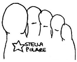 Stella Polare