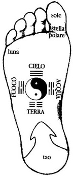 Mappa del cielo anteriore piede destro