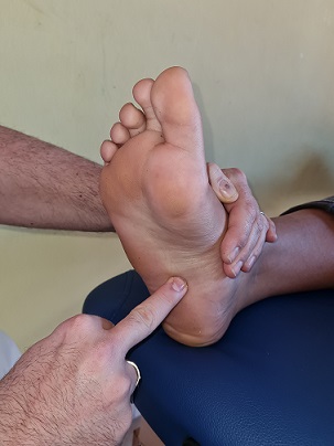 RP40