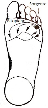 Disegno canali sx