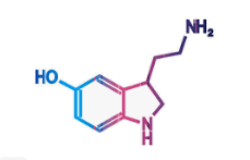 Serotonina