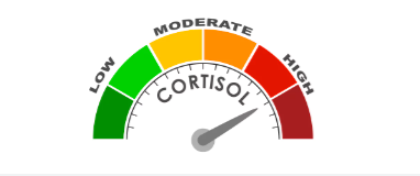 Cortisolo indicatore