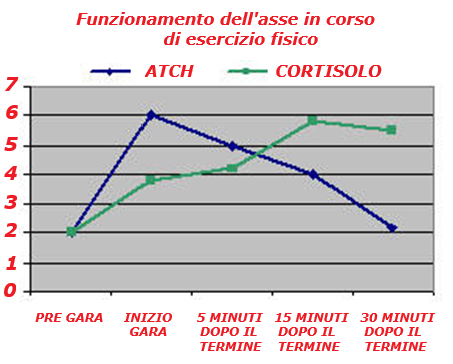 Cortisolo 2