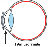 Film lacrimale