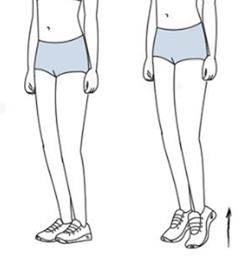 Calf Raise a