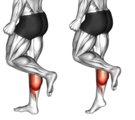Calf Rise 2
