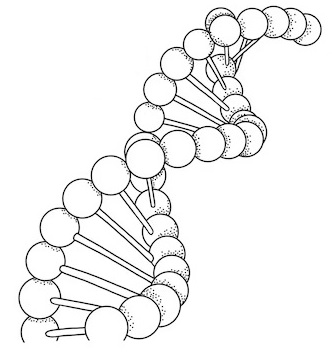 DNA 02